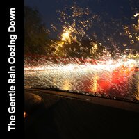 Raining Calm - Raindrops Sleep