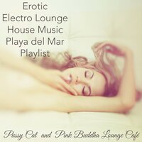 Budha Bar Chill Song - Pink Buddha Lounge Café & Pussy Cat