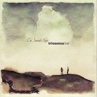 Your Yearness - Triosence