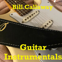 Lost in the Woods - Bill Callaway