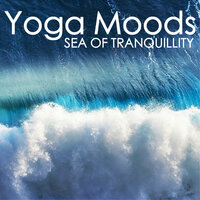 Yoga Moods - Night Moods
