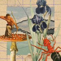 Crustacea - Mr. Santé