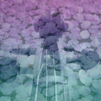 Macaroon - Zen Meditation Garden & Instrumental Zone