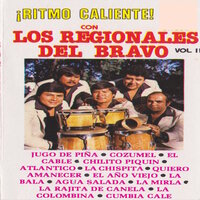 Cumbia Cale - Los Regionales Del Bravo