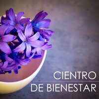 Bien Estar - Bienestar Maestro