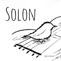 Bird on the Wire - Solon