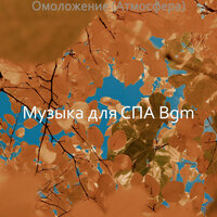 Моменты (Омоложение) - Музыка для СПА Bgm
