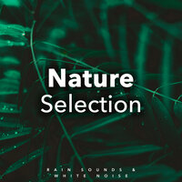 Epic Thunder & Rain - Rain Sounds & White Noise