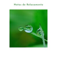 Good Vibe - Academia de Relaxamento Espiritual & Notas de Relaxamento & Reiki Consorte de Curación