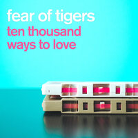 The Loving That Surrounds You - Fear of Tigers