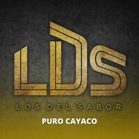 Son de la Rabia / Julia / El Rumbero / Cuando Toco el Sax - Los Del Sabor LDS