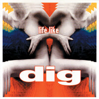 Stay On The Grass - Dig