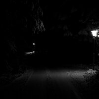 chrysalls - nøave