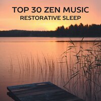 Fly Beyond the Horizon - Deep Sleep Sanctuary