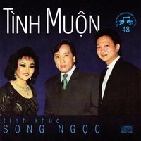 Xin Cám Ơn Một Buổi Chiều - Julie