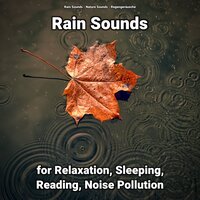 Rain Sounds for Relaxation and Sleeping Pt. 8 - Nature Sounds & Rain Sounds & Regengeräusche