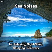 Sea Noises Pt. 76 - Sea Waves Sounds & Nature Sounds & Ocean Sounds