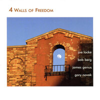 Searching - Joe Locke
