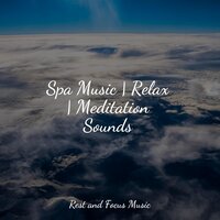 Divine Serenity - Relax Meditation Sleep & The White Noise Zen & Meditation Sound Lab & Reiki Music