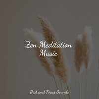 Rising to Heaven - Binaural Beats Brain Waves Isochronic Tones Brainwave Entrainment & Meditação Maestro & Spa & Spa