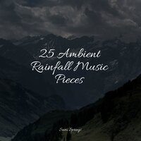 Forest, Night, Frogs - Big Sounds & Exam Study Classical Music Orchestra & Sleep Sounds