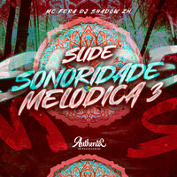 Slide Sonoridade Melódica 3 - DJ SHADOW ZN & Mc Fera & Authentic Records