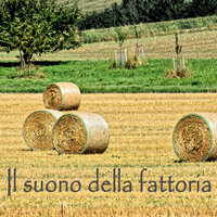 Campanaccio - Effetti Sonori Lab