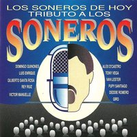 Sin Tu Cariño - Luis Enrique