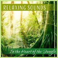 Hot Summer Afternoon - Exotic Nature Kingdom