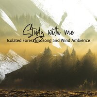 Isolated Forest Birdsong and Wind Ambience, Pt. 3 - Sebastian Riegl