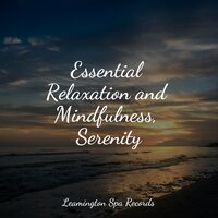 Planet in Flux - Massage Therapy Music & Meditation Rain Sounds & Weather Sounds