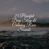 Traffic Rain - Fresh Water Sounds for Inner Peace & The Relaxation Principle & Relaxing Rain Sounds