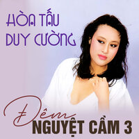 Cơn mê chiều - Duy Cuong