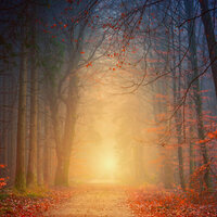 Inner Focus - Deep Sleep & Musica Relajante New Age Culture & Canciones de Cuna 101