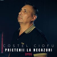Prietenii la necazuri - Costel Ciofu