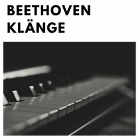 Piano Sonata No. 3 In C Major, Op. 2 No. 3 : III. Scherzo, Allegro - Artur Schnabel & Ludwig van Beethoven