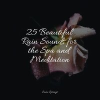 Windy, Rainy Streets - Nature Sounds Collection & Serenity Spa Music Relaxation & Massagem Coleção de Músicas