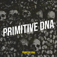 Walking Through Darkness - Primitive DNA