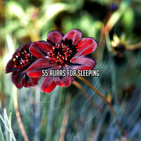Under The Sheets - Sleepy Night Music