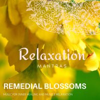 Healing Bowls - Massage Tribe & Calm music & Zen Healing Melodies