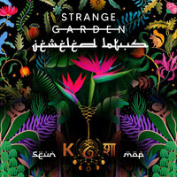 Strange Vibes - Jeweled Lotus & MOP