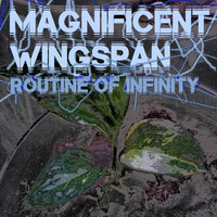 Routine of Infinity - Magnificent Wingspan & AllPoints & Oscify