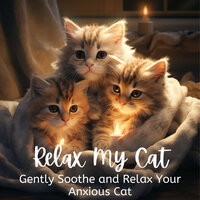 Peaceful Passage Prelude - Cat Music Zone & Cat Music Dreams & Relax My Cat