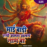 Mai Badi Ego Alag Alag Naam Ba - Prince Singh
