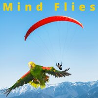 Mind Flies - Frenmad
