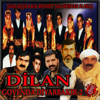 Ayşana Ali & Halay - Beşir Kaya