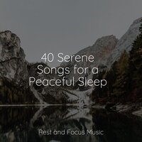 Serene Waves of Calm - Sleepy Times & Spa & Musica relajante