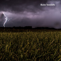 Summer Showers and Thunderstorms, Pt. 9 - Weather and Nature Recordings & The Outdoor Library & Rain Sounds & Nature Sounds