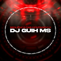 Sequencia das Montagem 1.0 - DJ Guih MS