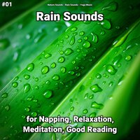 Fabulous Feelings - Nature Sounds & Rain Sounds & Yoga Music
